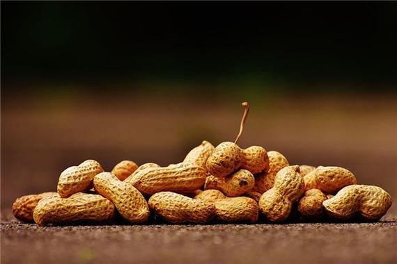 梦见吃花生预示事业进步_梦见吃花生是什么预兆_梦见吃花生预示财富提升