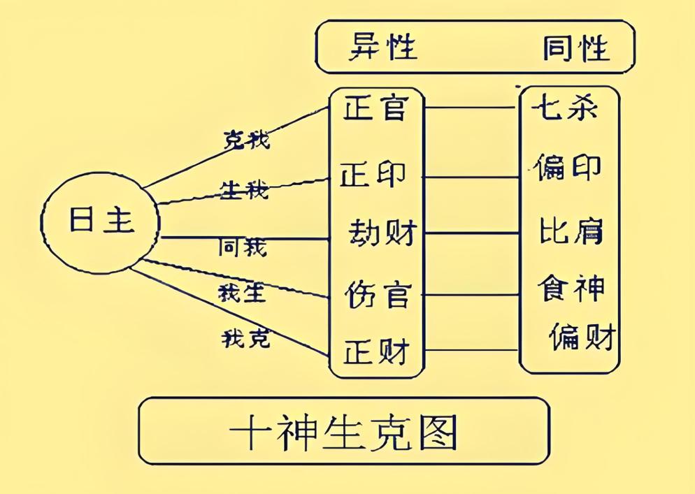 八字中的十神含义_十神含义及作用关系_八字十神详解
