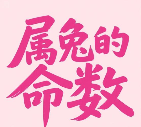 属兔的一月份什么命_属兔一月份出生命运特点_属兔一月份性格命运分析