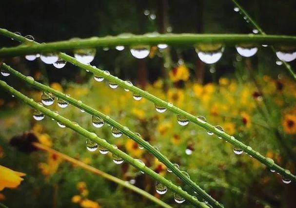 十天干壬水癸水解析_十天干详解壬癸水_壬水癸水性格特点对比