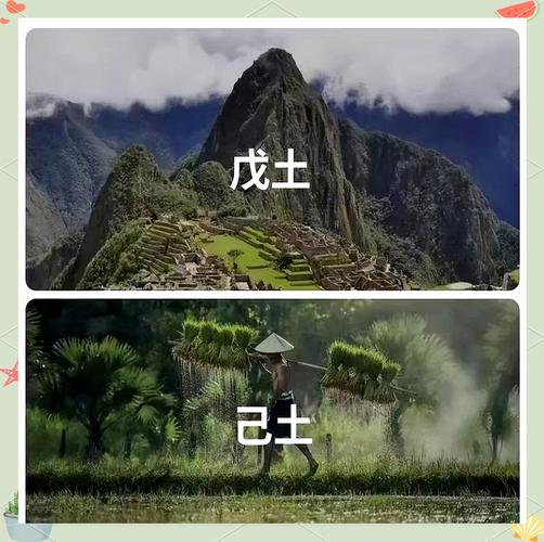 戊土己土区别_高山之土田园之土_十天干详解戊己土