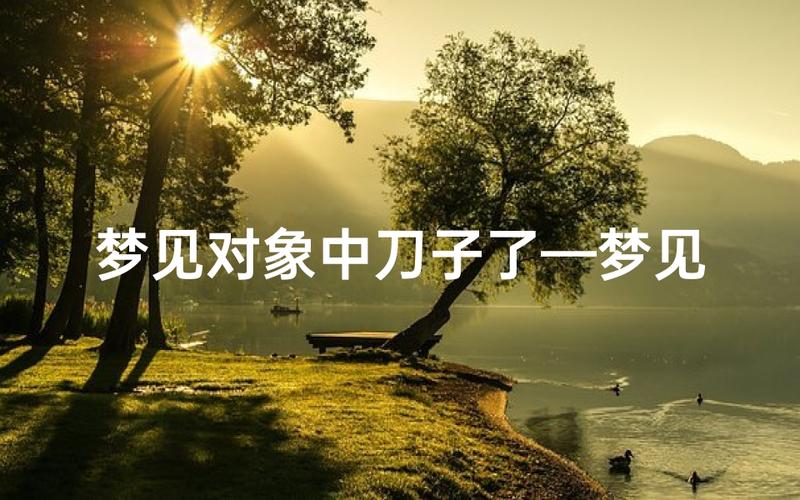 梦见别人持刀行凶的预示_女人梦见别人拿刀砍人_女人梦见别人拿刀砍人