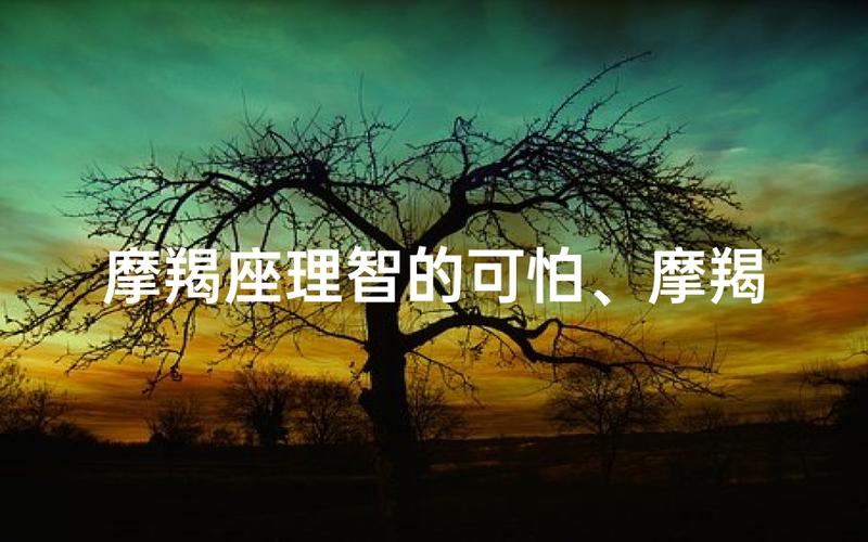摩羯座怎么样_摩羯座2026年事业财运深度解读_摩羯座性格优缺点分析