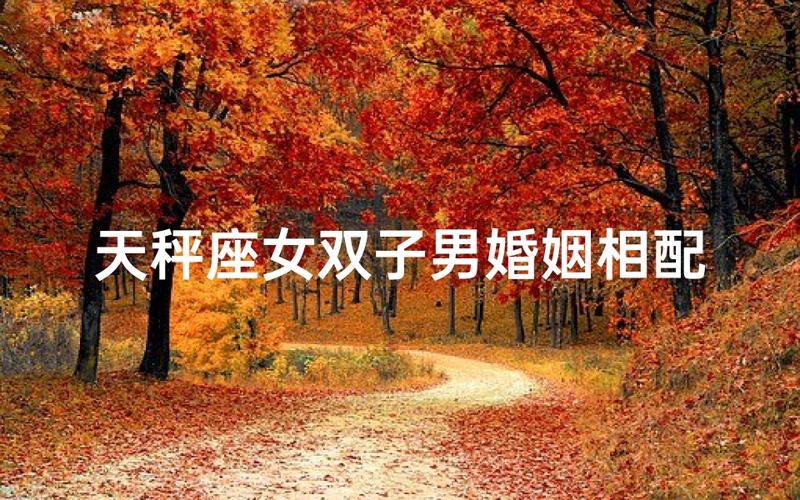 天秤座女和双子座男的爱情前景究竟如何