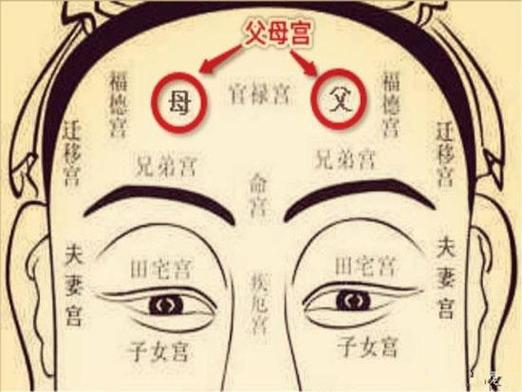 时柱看子女命运_八字子女宫在哪个位置_八字子女宫在哪