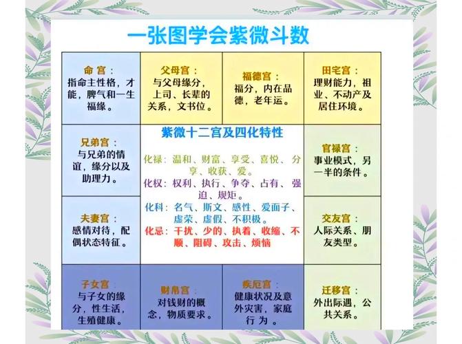 紫微斗数看二婚配偶特征_紫微斗数子女宫看二婚配偶相貌财力_紫微斗数命宫主星适合二婚再嫁