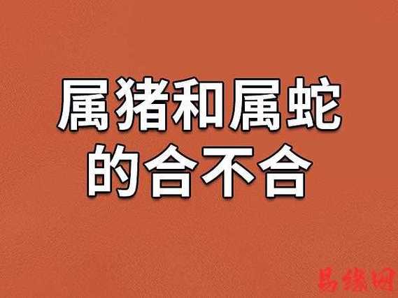 土蛇和水猪婚姻怎么样_土蛇水猪相克原因_土蛇水猪五行婚配