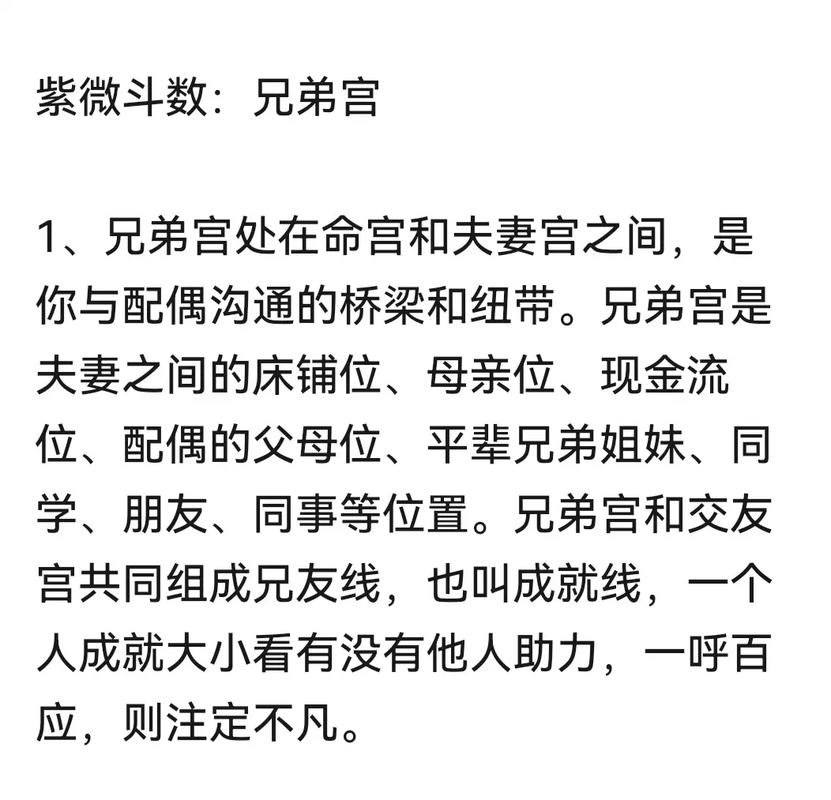 紫微斗数看配偶_四化飞星对姻缘的影响_紫微斗数夫妻宫主星分析