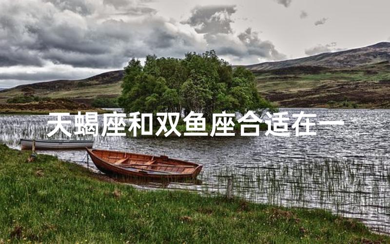 双鱼天蝎感情匹配度_双鱼座天蝎座配对_双鱼座与天蝎座的匹配程度是多少啊