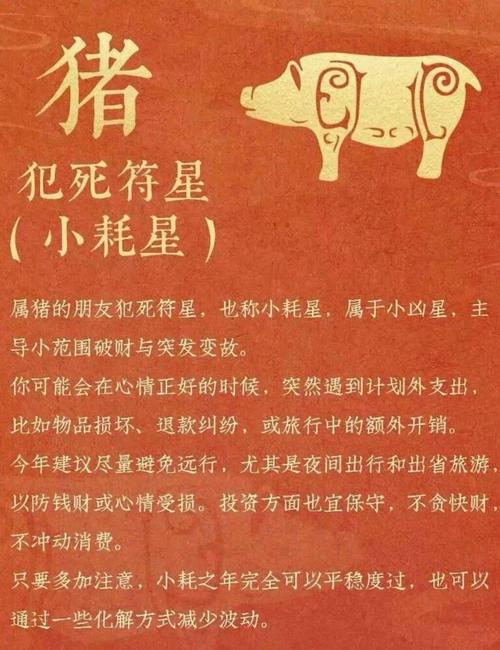 属猪男2026能放下旧爱吗 感情运势全解析