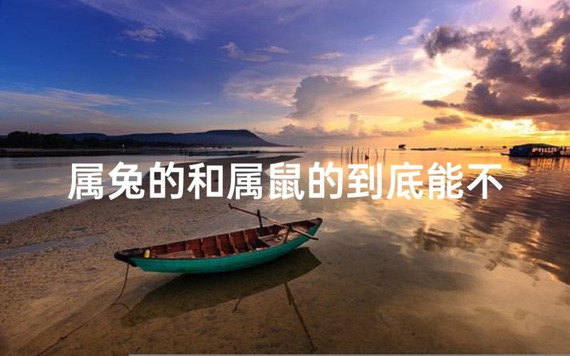 属兔最易犯冲的三个生肖：鸡、鼠、龙