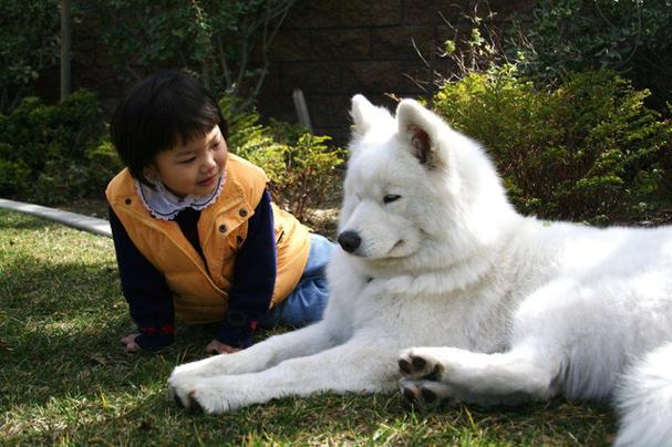 狗一生恩人是谁_喂狗第一口饭的人_狗一生的恩人是谁