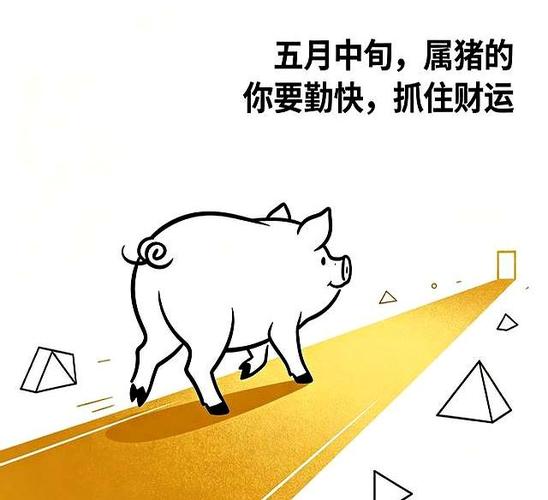 农历三月横财机遇_属猪2026横财月份_属猪2026横财在几月出现