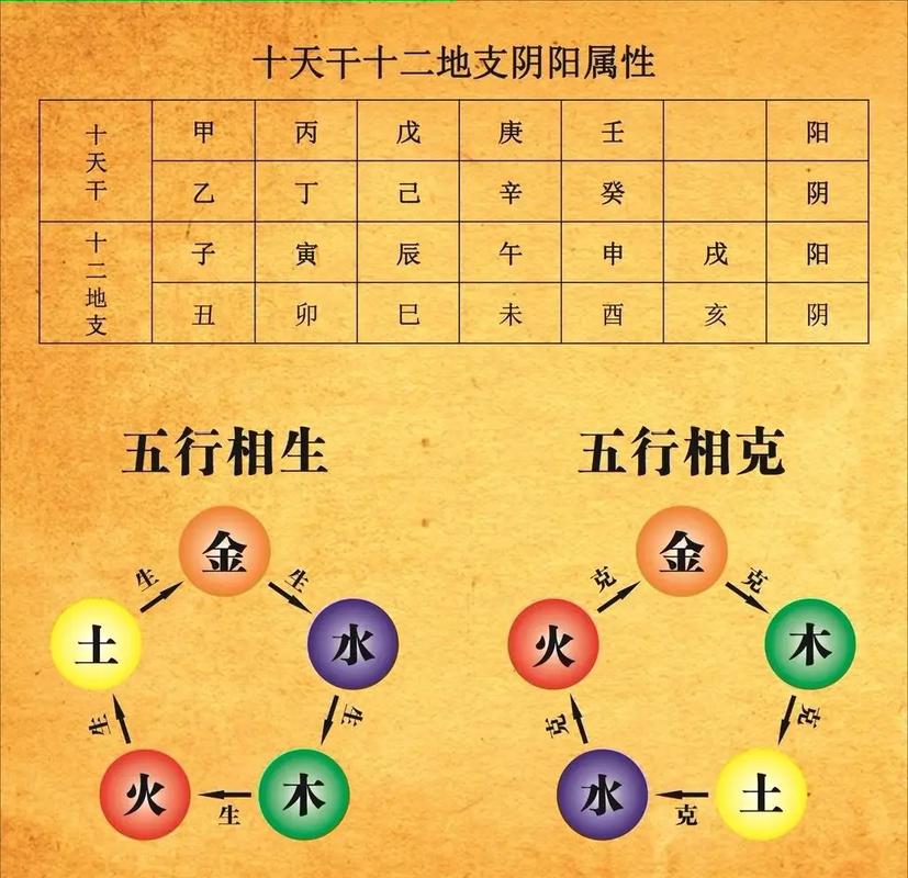 十二地支午火属性_午火命理应用_十二地支午火详解