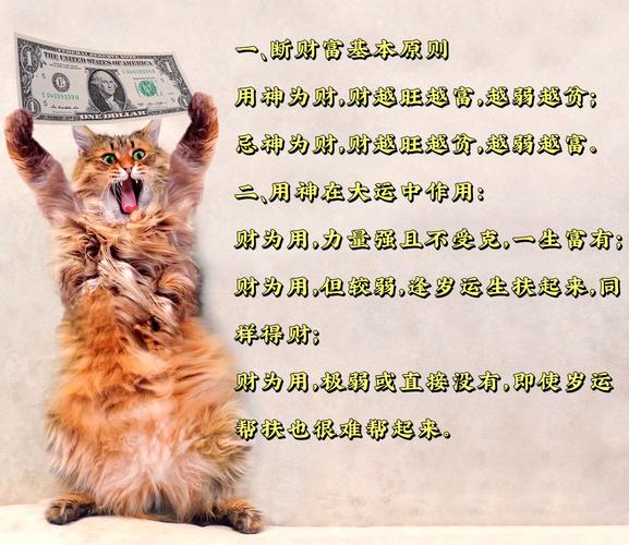 富贵命的八字命理特征_八字富贵格局特征_身强财星通根得用