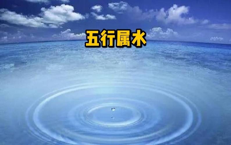 水羊命五行特质特性_水羊命五行缺金如何补救_水羊命五行缺什么