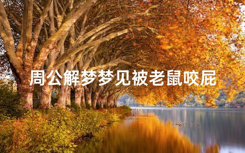 梦见被老鼠咬_梦见被老鼠咬了是什么意思_老鼠咬的解梦意义
