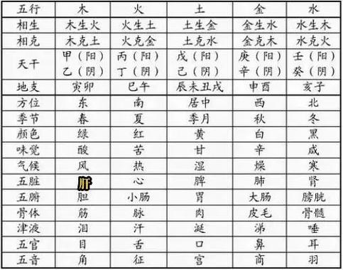 申金在八字中的性格特点_申金对个人财运的影响_十二地支申金详解