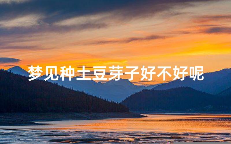 女人梦见在地里种土豆_梦见种土豆预示怀孕吗_女人梦到种土豆
