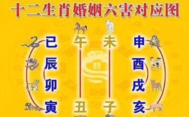 金羊命和水命的般配吗_金羊命水命婚配分析_金羊命与水命相生相克