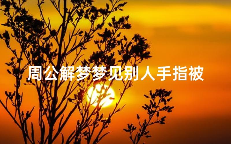 梦见手指头被切断的预兆_梦见手指头断掉的含义_梦见手指头被切断了