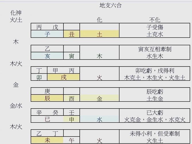 地支六合吉凶判断_八字地支六合应用规则_八字地支六合的应用规则