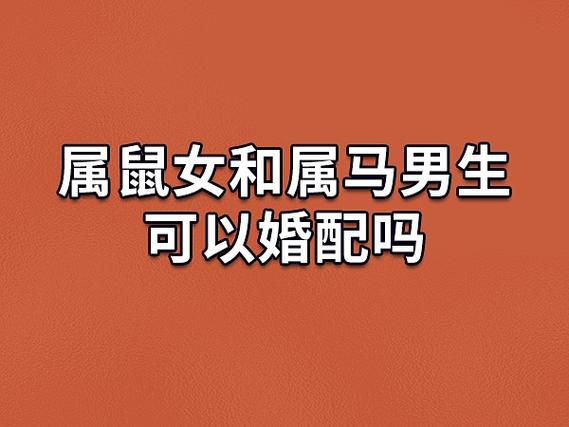 木鼠命和什么属相最配 上等婚配组合解析