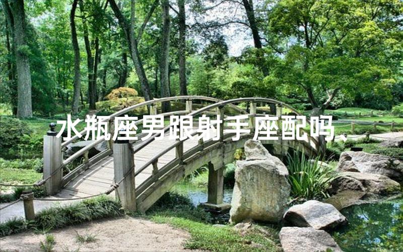 水瓶座男和射手座女 婚姻到底合不合
