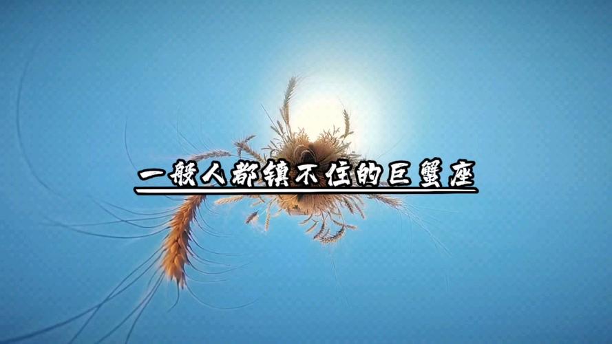 巨蟹座的双重性格有谁懂_巨蟹座双重性格解析_巨蟹座情绪波动