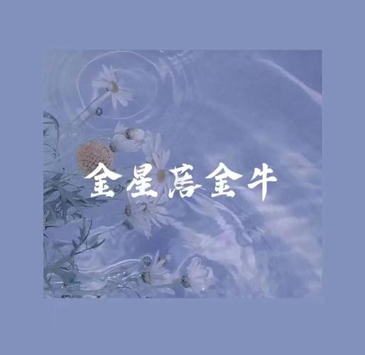 金星金牛座择偶标准_金星金牛座爱情表达方式_金星金牛座