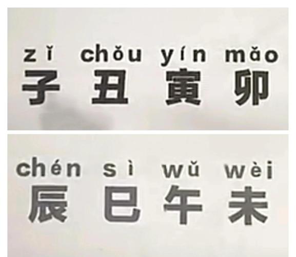 十二地支顺口溜_十二地支顺口溜_快速记忆十二地支口诀