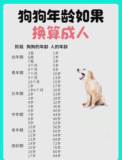 2026年属狗运势转变_2026年属狗人能翻身吗_属狗人事业财运新转机