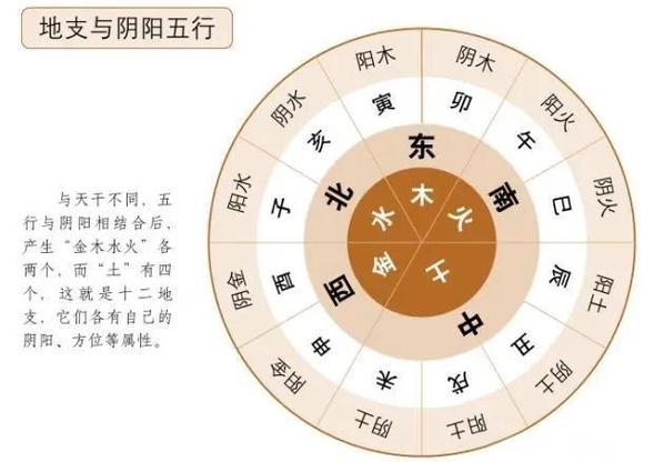 天干地支在八字命理中的应用_天干地支有什么含义_天干地支起源与含义