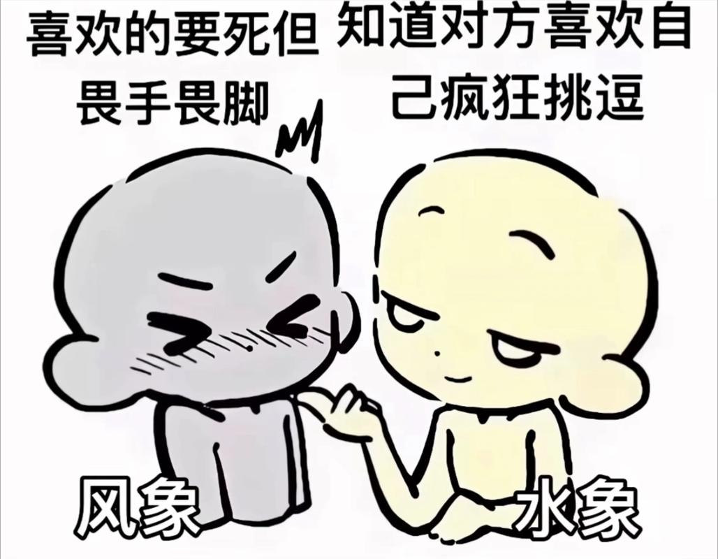 风象星座特点_风象星座特点_风象星座思维能力