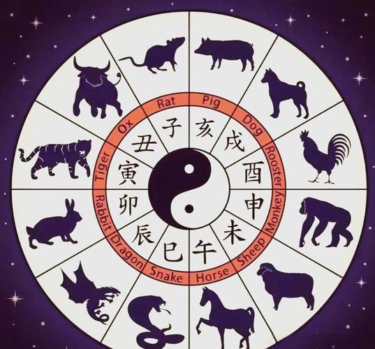 什么是地支_地支含义与五行属性_地支在八字命理中的作用