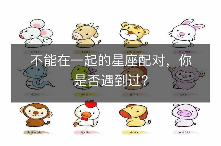 狮子座男天秤座女配对指数揭秘：到底合不合适？