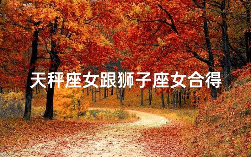 狮子座男和天秤座女配对指数_狮子座男和天秤座女的配对指数是多少_狮子座男和天秤座女相处技巧