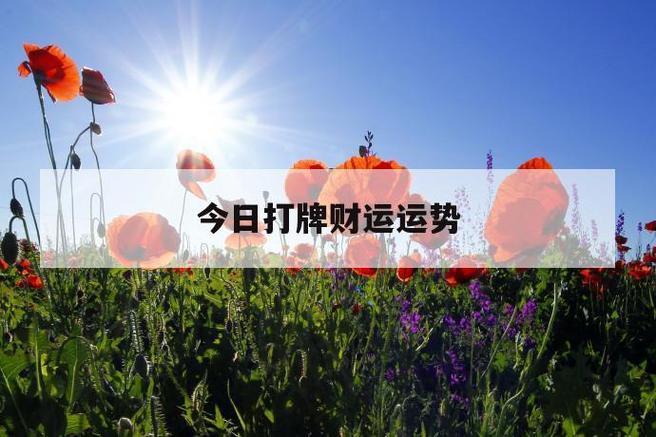 白羊座今天打牌财运如何 手气好不好
