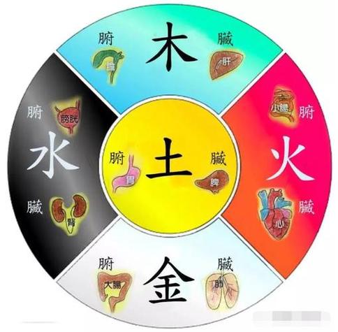 木猴命五行缺什么_木猴命五行补救方法_木猴命五行缺什么
