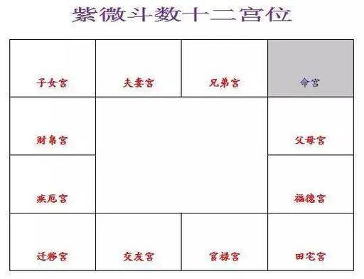 紫微斗数全书详解：命理入门必读指南