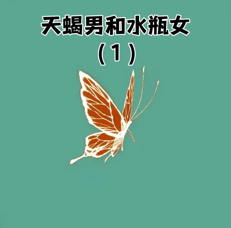 水瓶座女天蝎座男配对指数_水瓶座女和天蝎座男的配对指数是多少_水瓶女天蝎男性格差异互补性