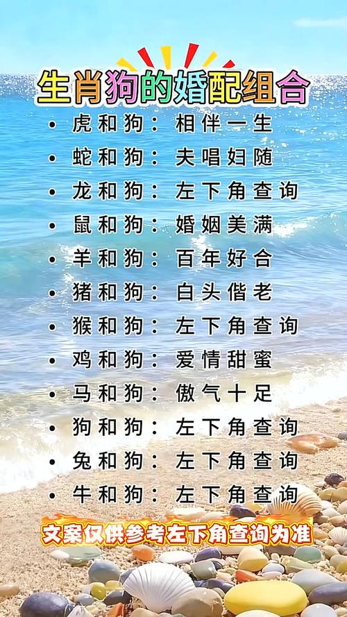 属狗人婚姻运势分析_2026属狗婚姻会出现第三者吗，2026属狗人的婚姻走向_2026年属狗人婚姻第三者风险
