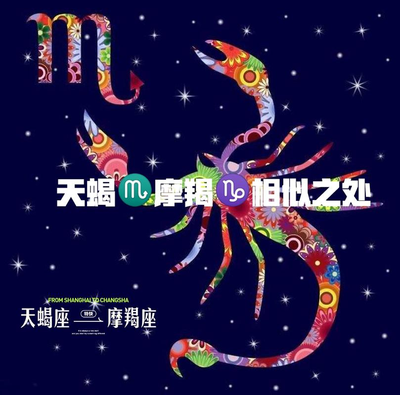 天蝎座和摩羯座座的配对指数是多少_天蝎座和摩羯座配对指数_天蝎座和摩羯座长期关系