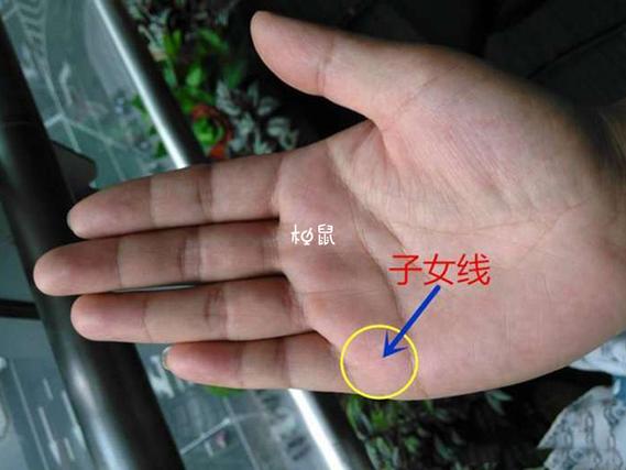 时柱就是子女宫 怎么看准这个位置_八字怎么看子女宫_八字怎么看子女宫