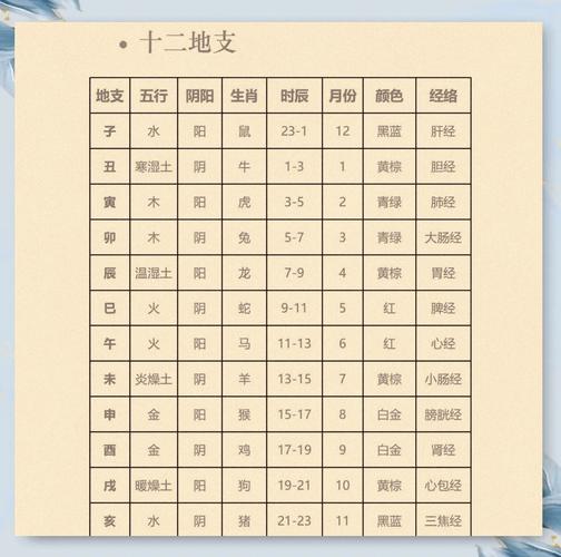 地支在八字中的应用与解析_地支五行属性与时间对应_12地支解析