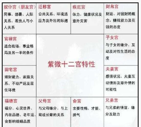 紫微斗数排盘资料_紫微斗数详细排盘_紫微斗数详细排盘
