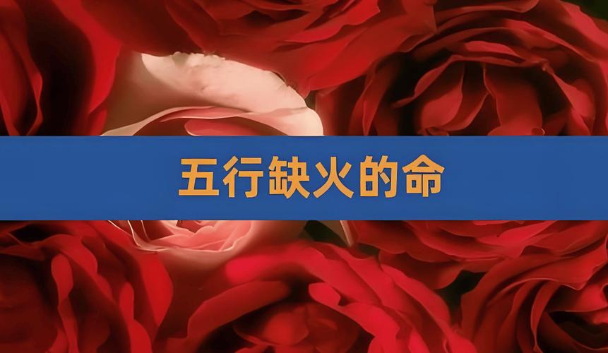 火鼠命五行缺什么_火鼠命五行缺什么_火鼠命缺木缺土怎么补