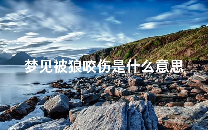 梦见狼群追赶_梦见狼进屋或攻击家人_梦见狼