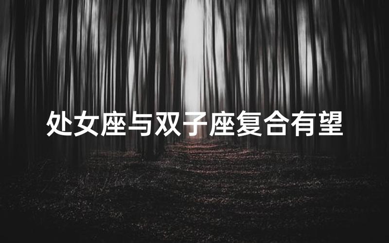 处女座女和什么星座男最配对指数高_处女座女和金牛座男配对指数_处女座女和摩羯座男职场灵魂伴侣