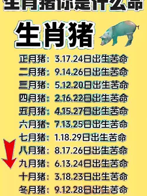 2026属猪考生能考上吗 金榜题名运势解析
